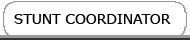 Stunt Coordinato